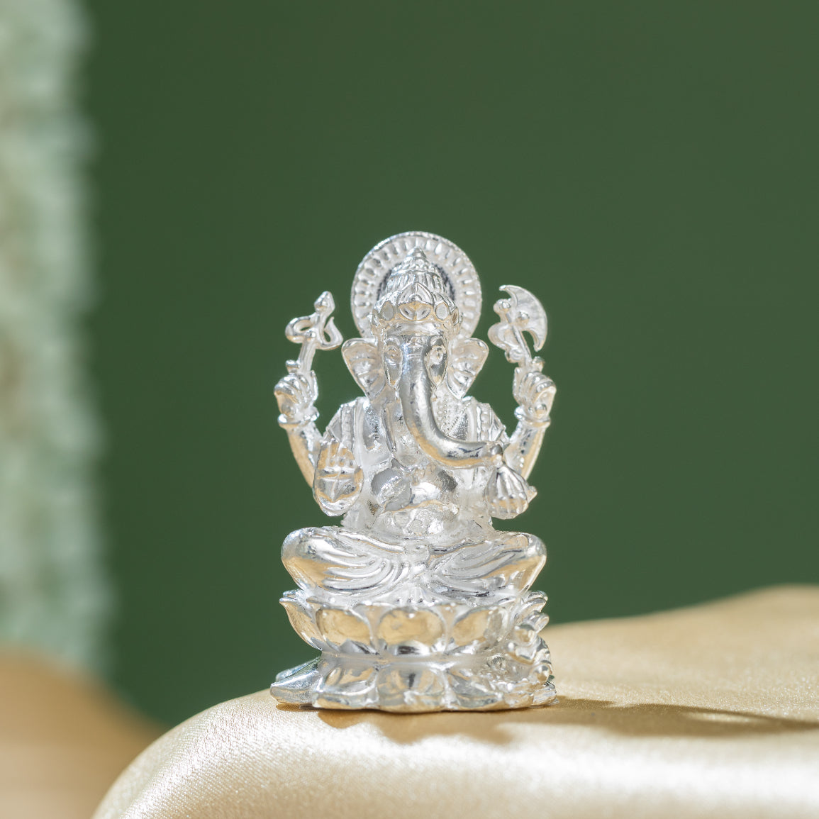 Lotus Grace Ganeshji