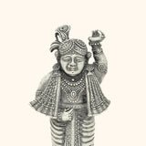 Lord Shreenathji Idol