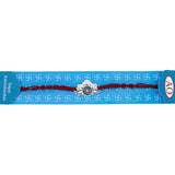 Patriotic Silver Rakhi