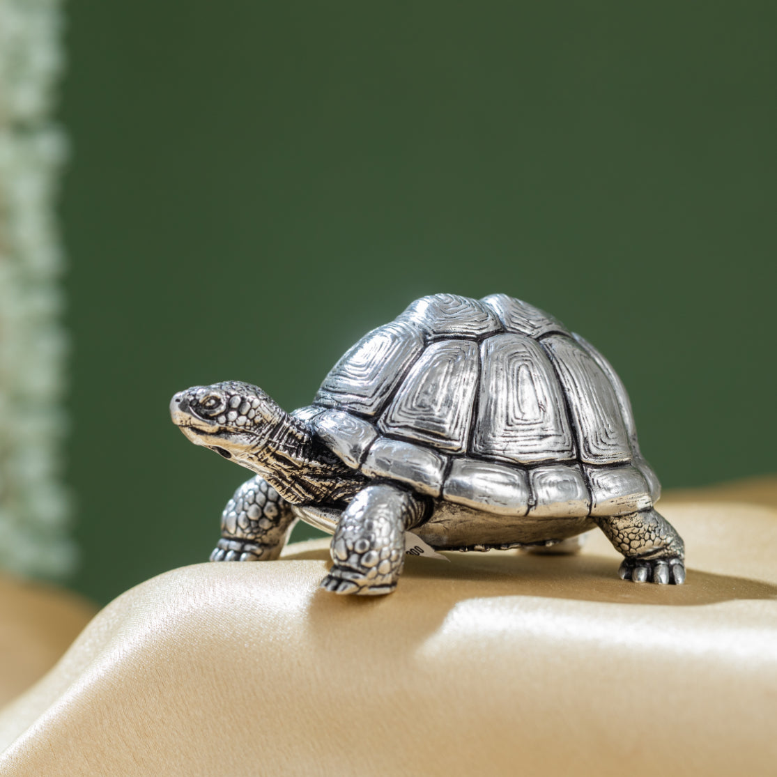 Celestial Tortoise