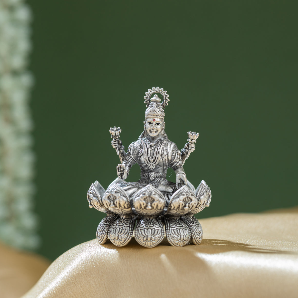 Lotus Bloom Laxmi