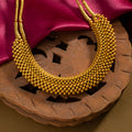Rajwada Thushi
