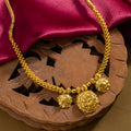 Sundari Thushi