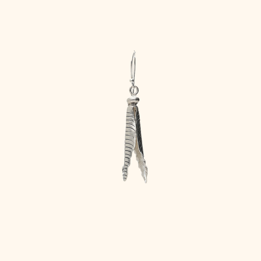 Silver Hanging Earrings